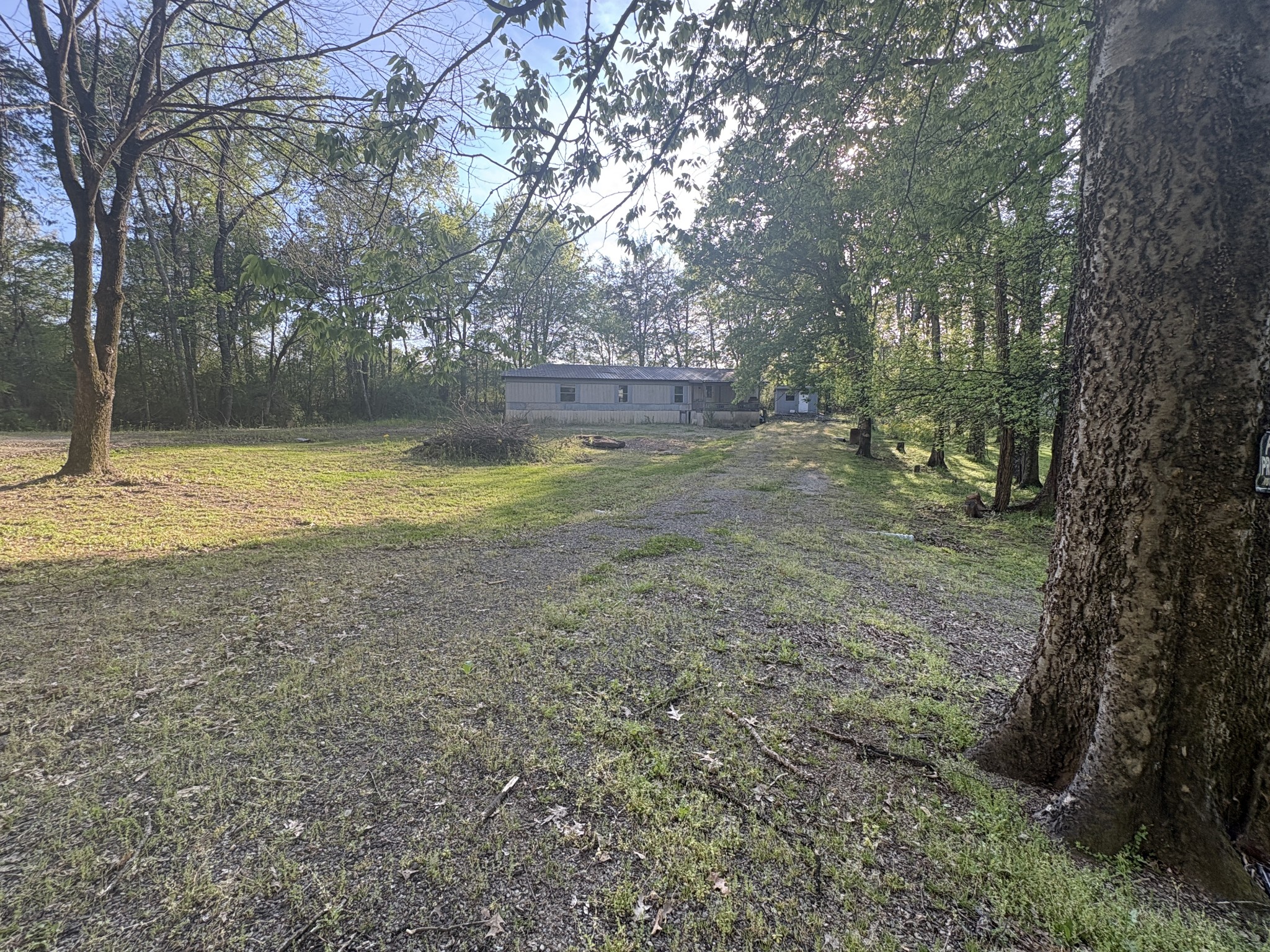 215 Frederick Loop Property Photo 3