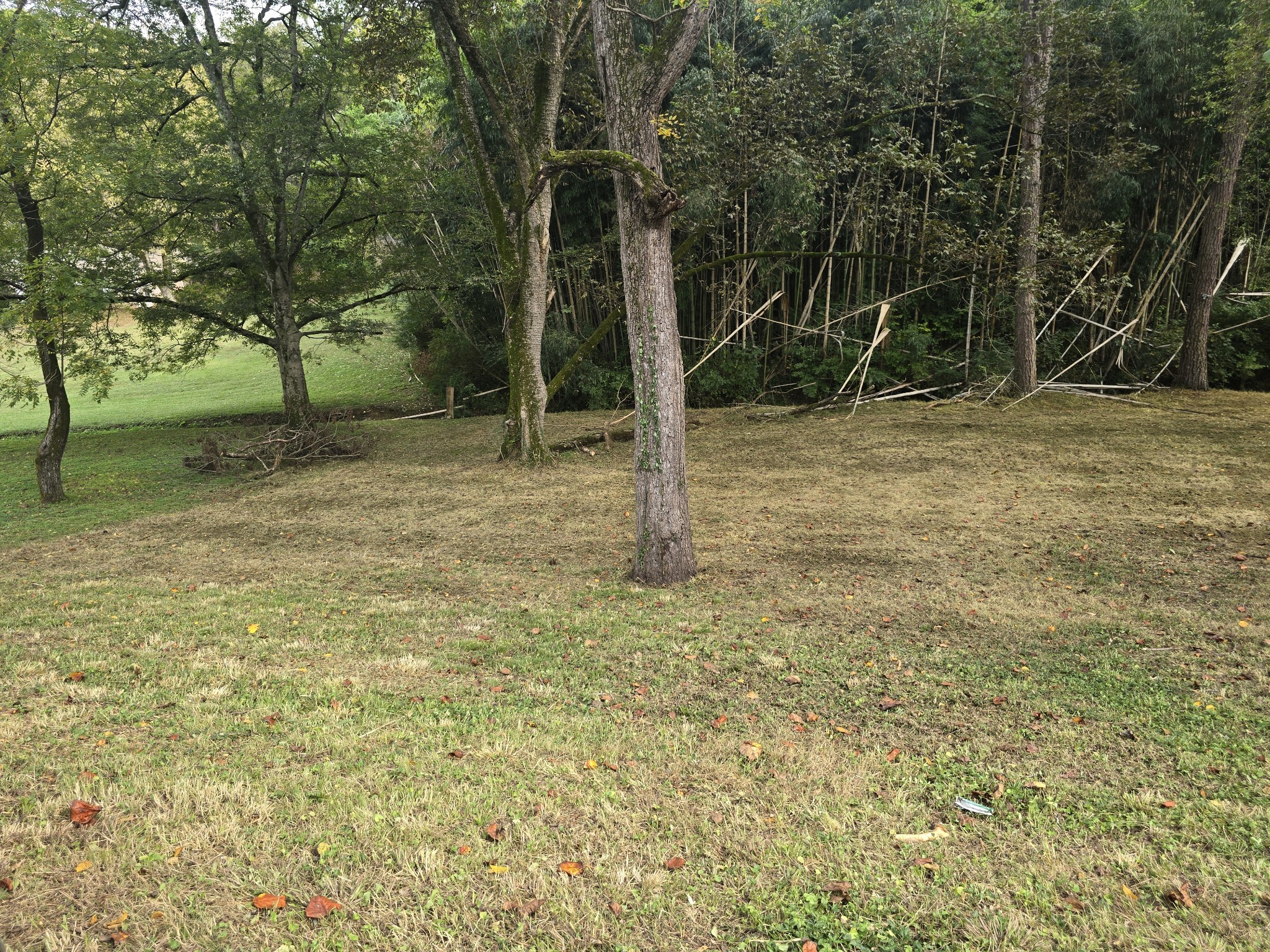 267 Graylynn Dr