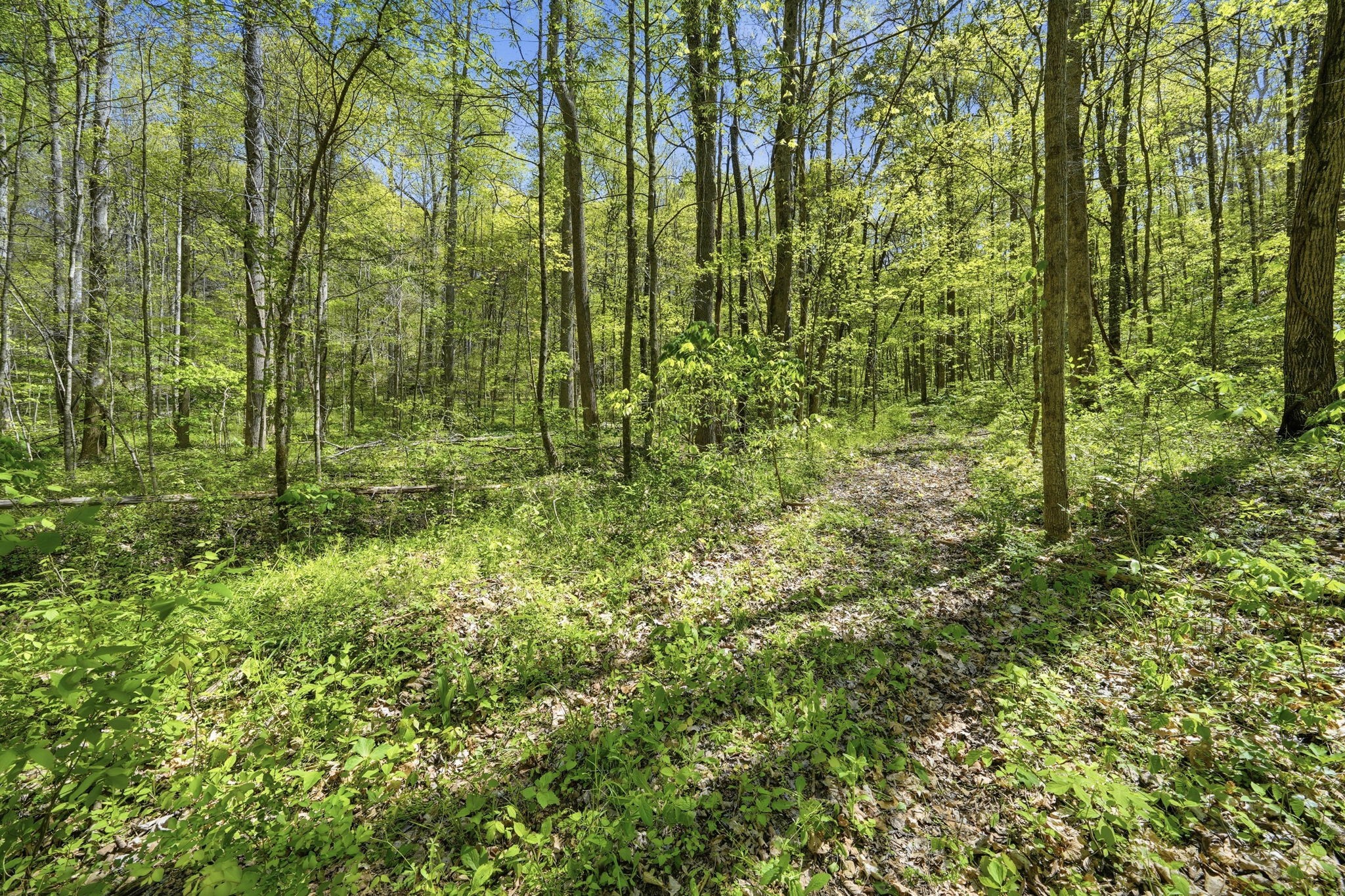 0 Green Road Property Photo 1