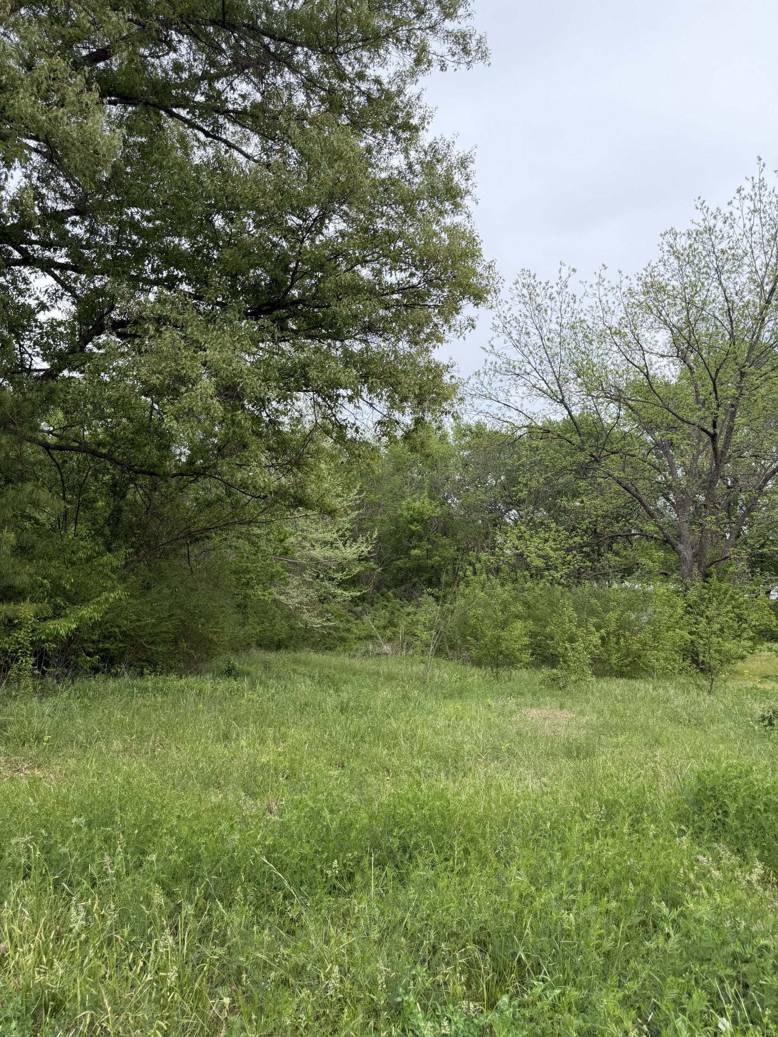 251 Highway 45, S Property Photo 1