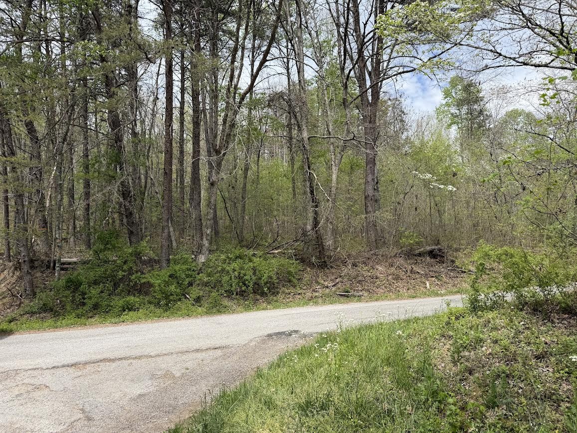 0 Myers Hill Rd Property Photo 1
