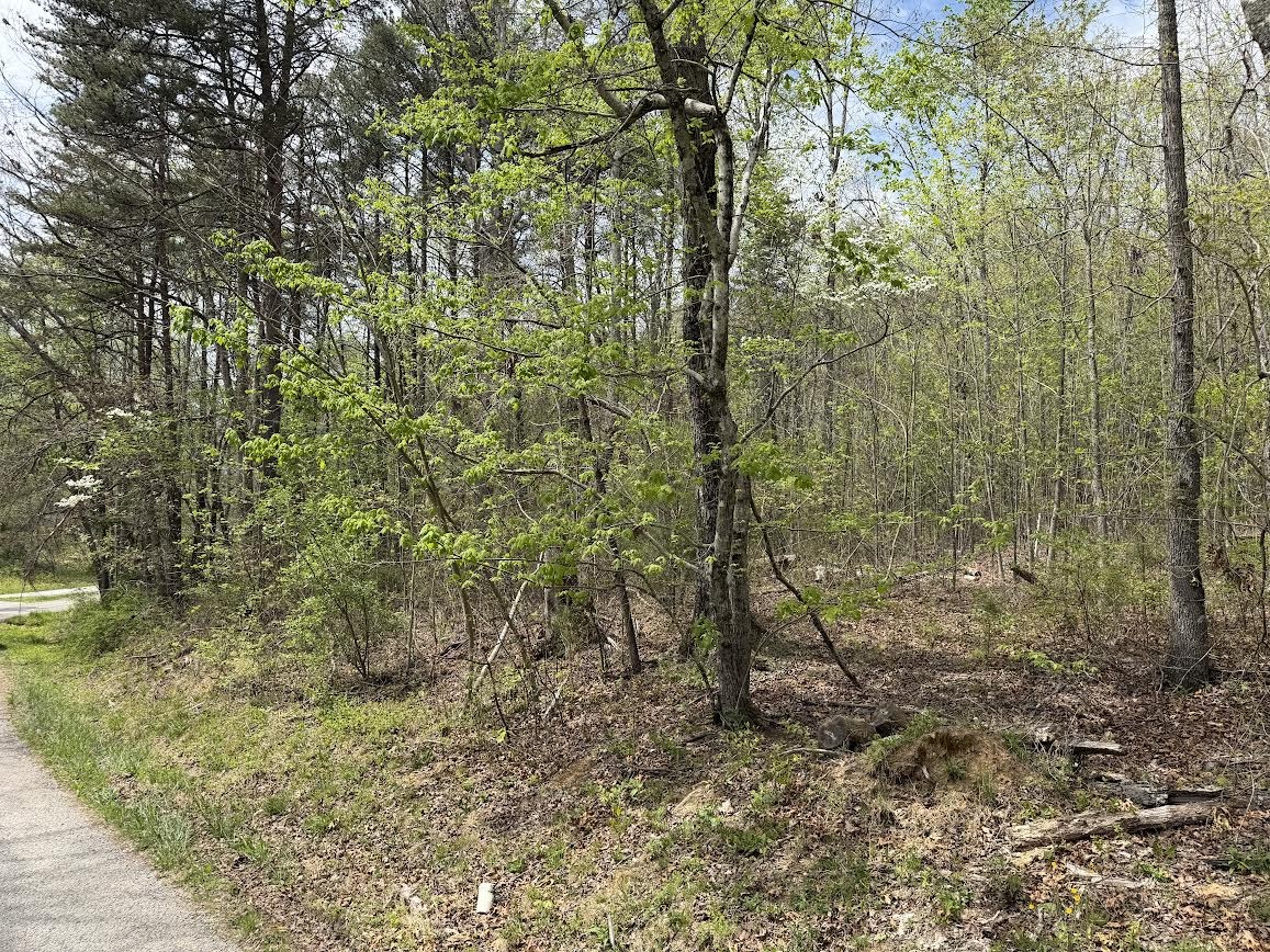 0 Myers Hill Rd Property Photo 3