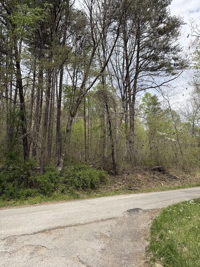 0 Myers Hill Rd Property Photo 4