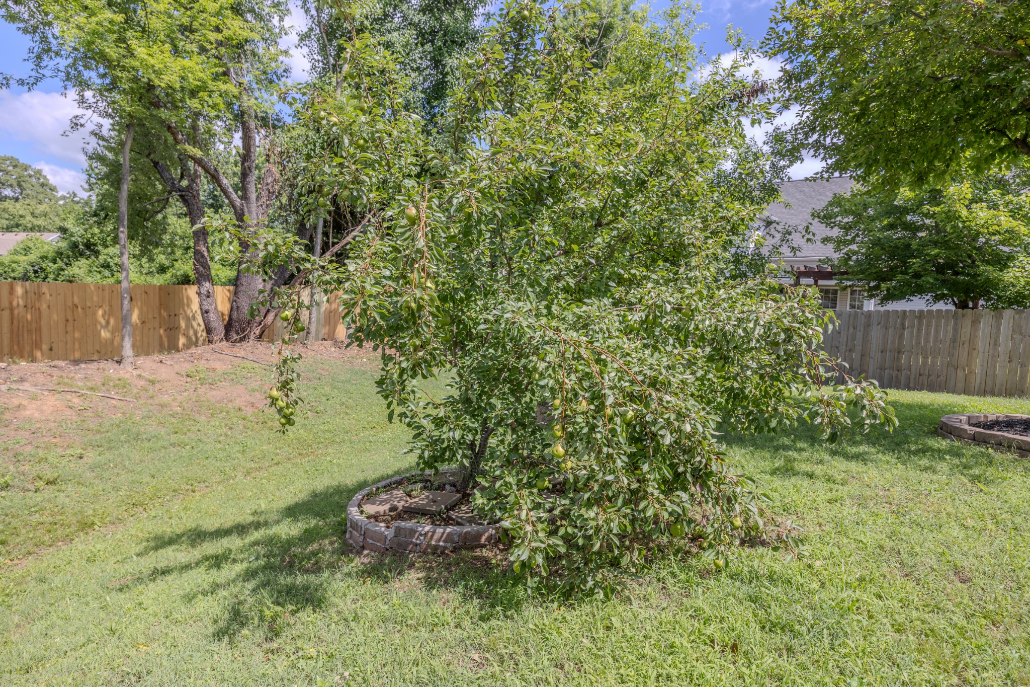 1204 Misty Glen Ct Property Photo 59