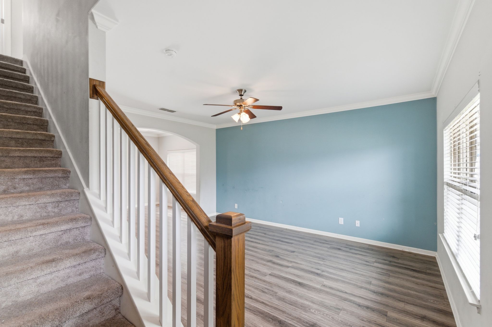 1129 Cotillion Dr Property Photo 4