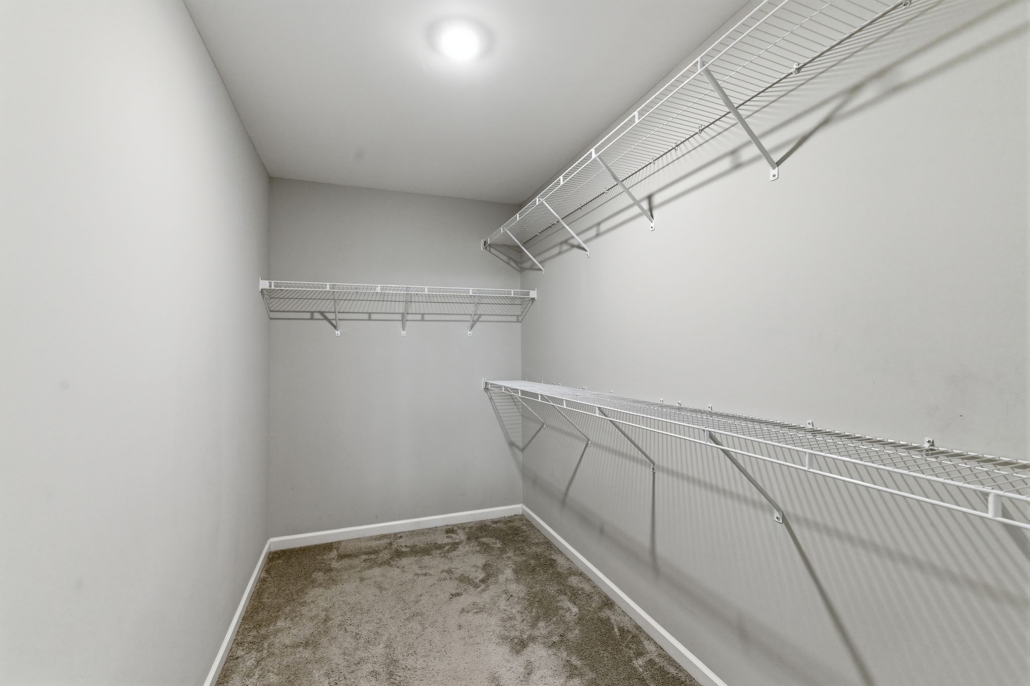 1129 Cotillion Dr Property Photo 19