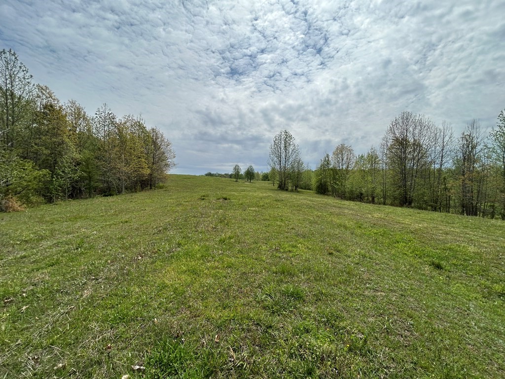 0 Elkhorn Rd Property Photo 14