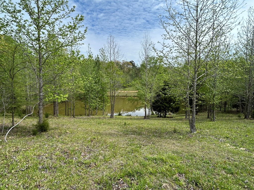 0 Elkhorn Rd Property Photo 15