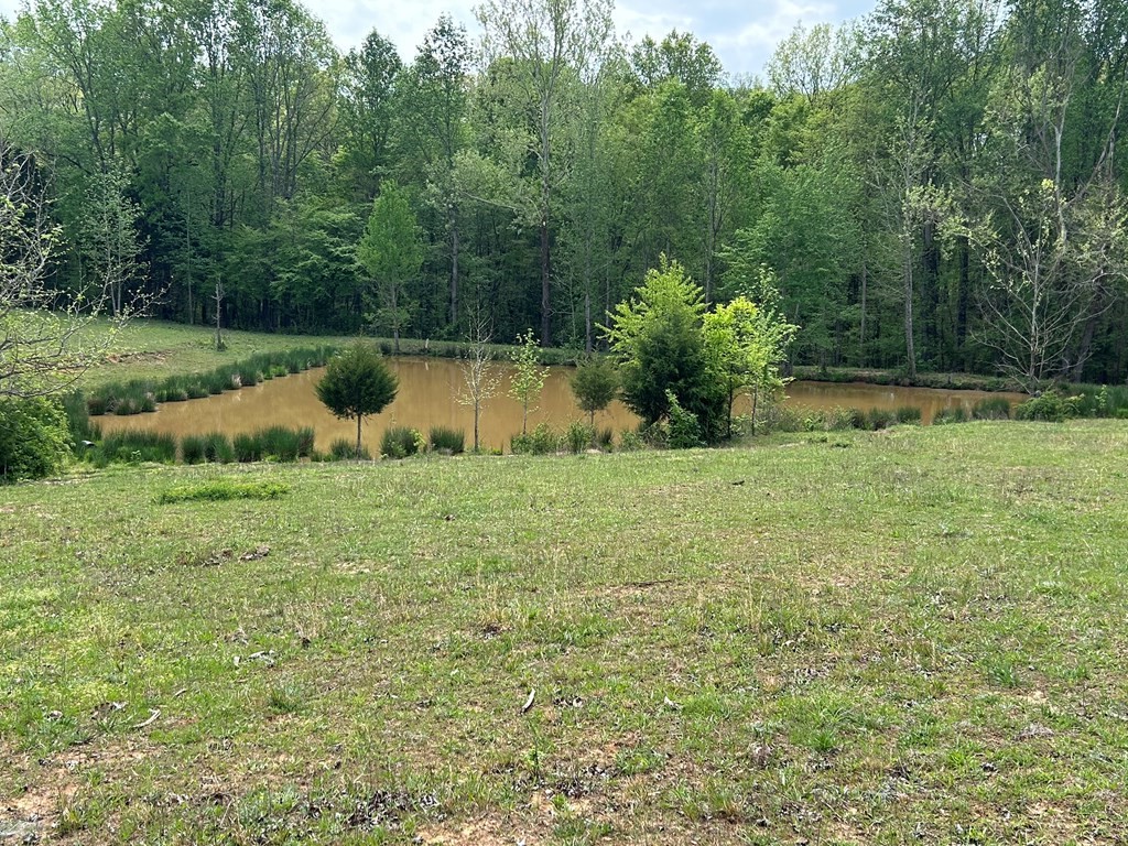 0 Elkhorn Rd Property Photo 17