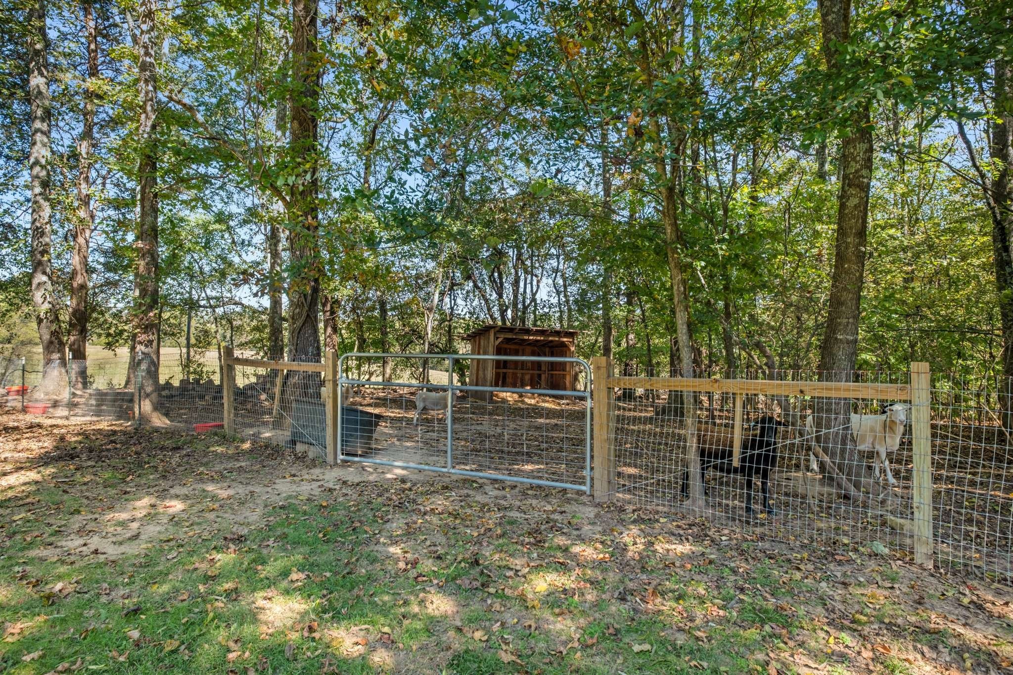 7101 Hardwood Ln Property Photo 57