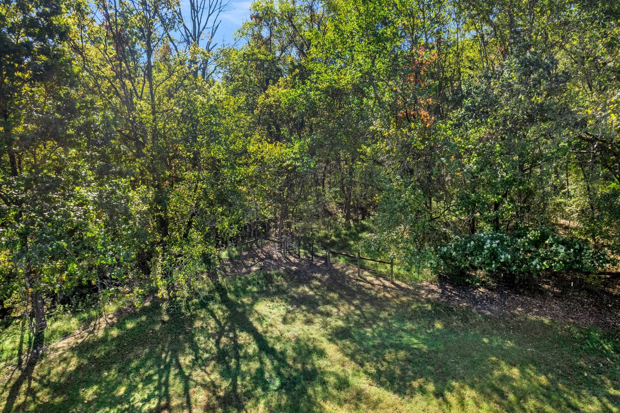 7101 Hardwood Ln Property Photo 68