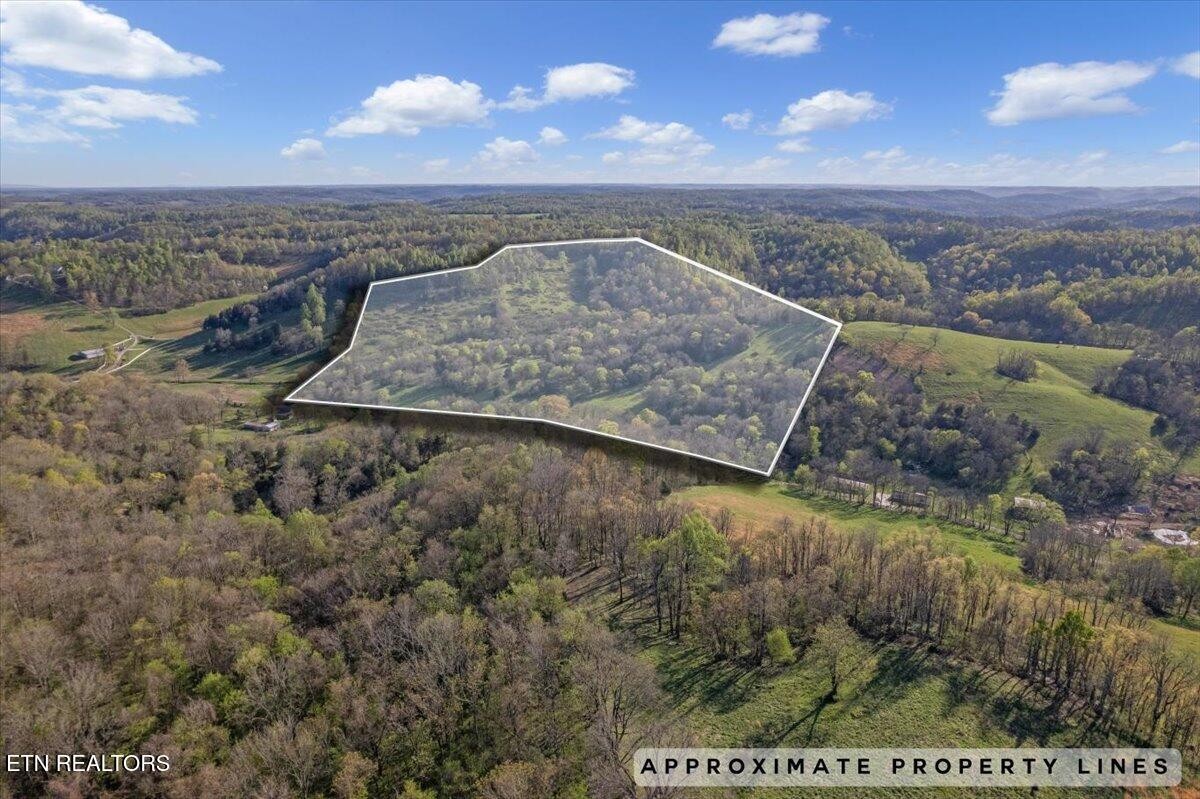 1624 Bartlett Hollow Rd Property Photo 1