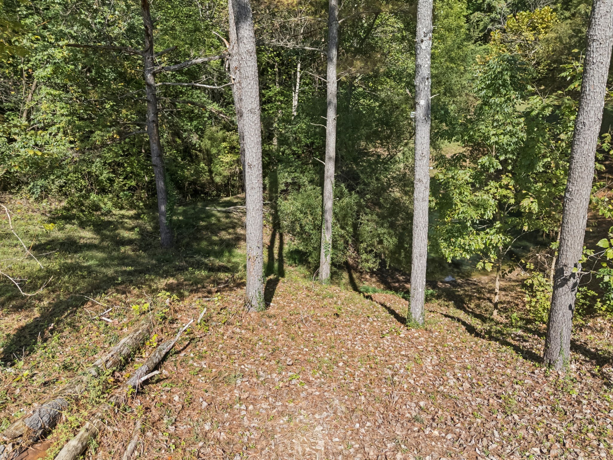 701 Hafner Rd Property Photo 45