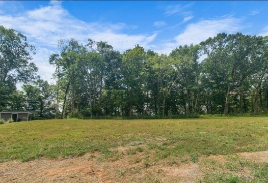 866 Shady Bluff Trl Property Photo 1