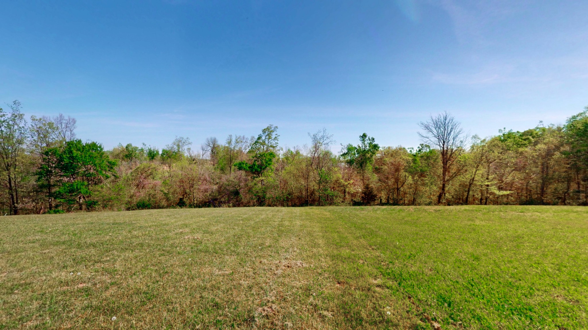 2862 Wixtown Rd Property Photo 11