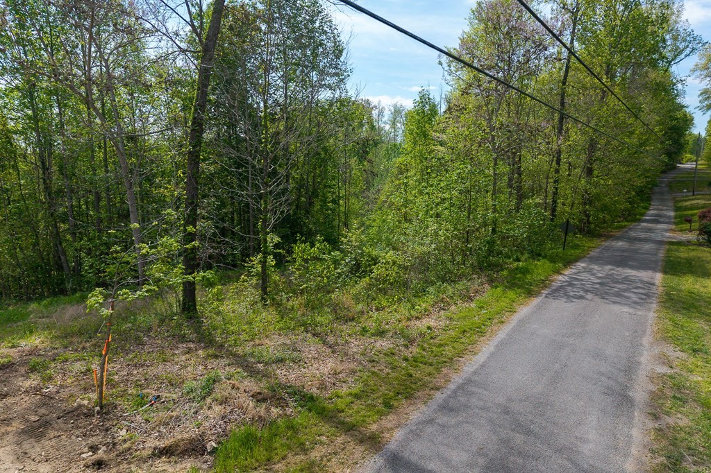 75 Backbone Rd Property Photo 3