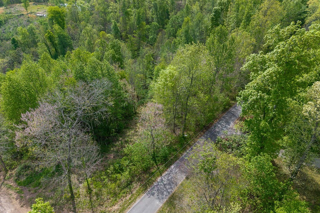 75 Backbone Rd Property Photo 4