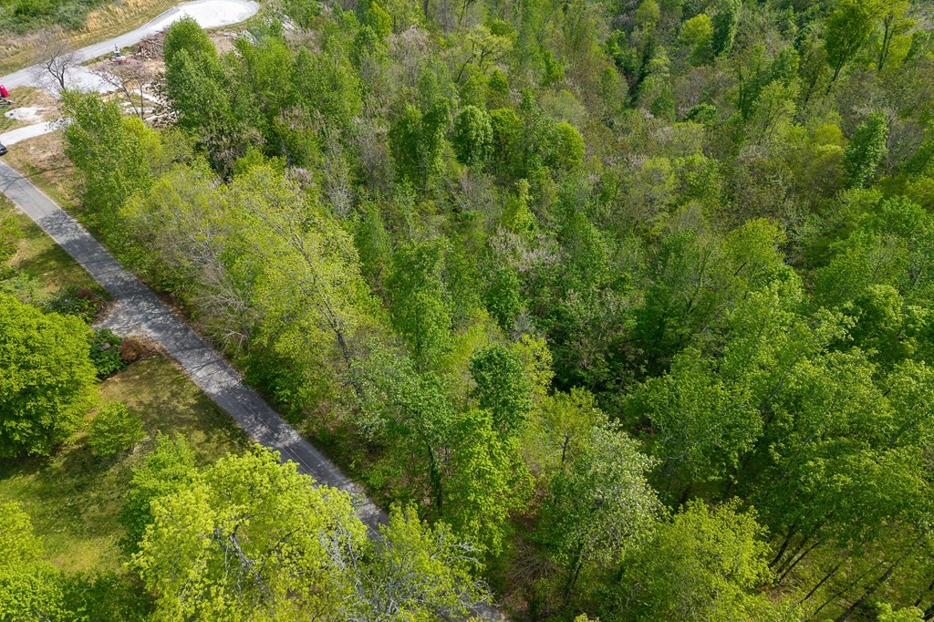 75 Backbone Rd Property Photo 5