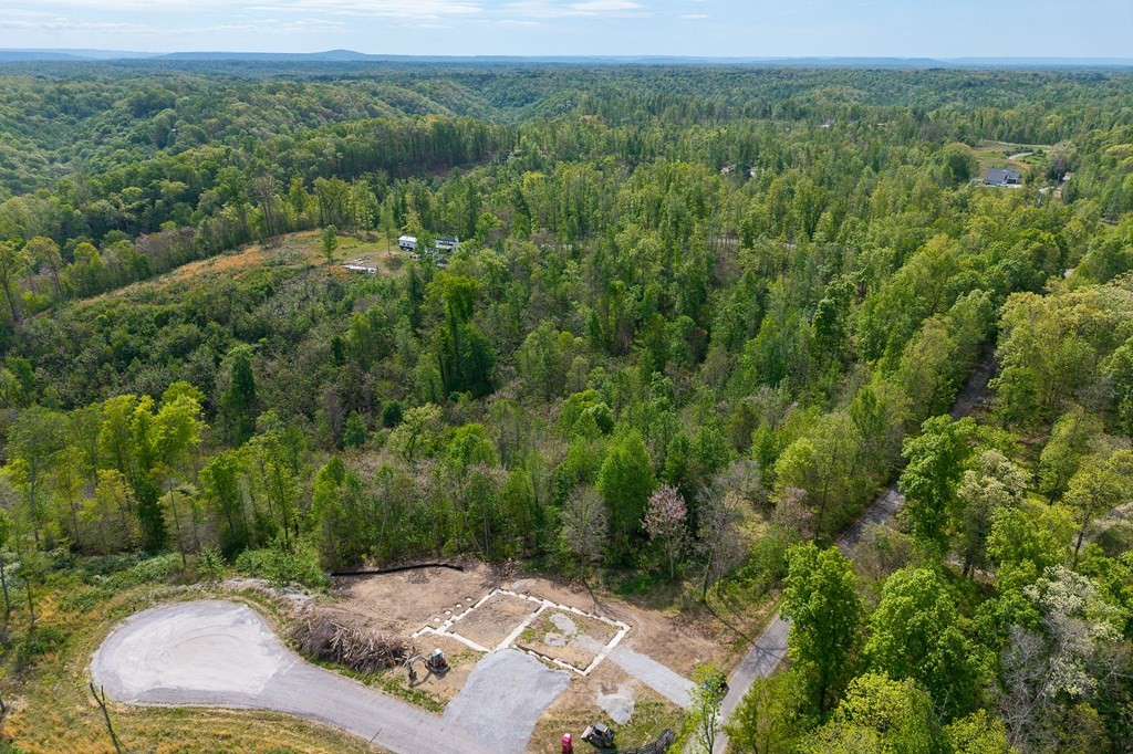 75 Backbone Rd Property Photo 10