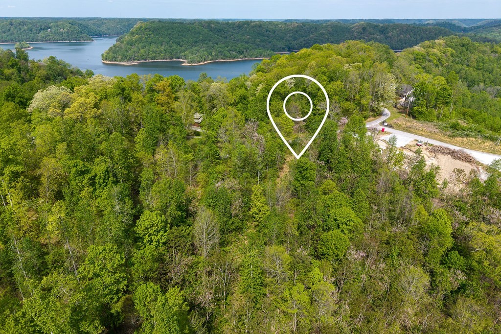 75 Backbone Rd Property Photo 12