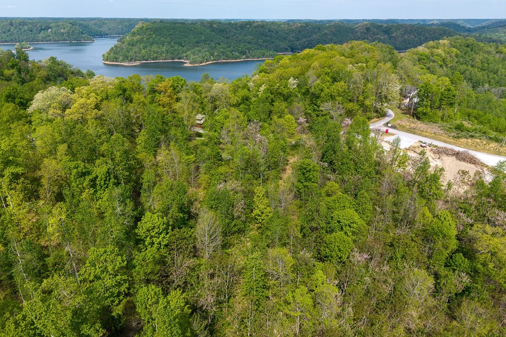 75 Backbone Rd Property Photo 13