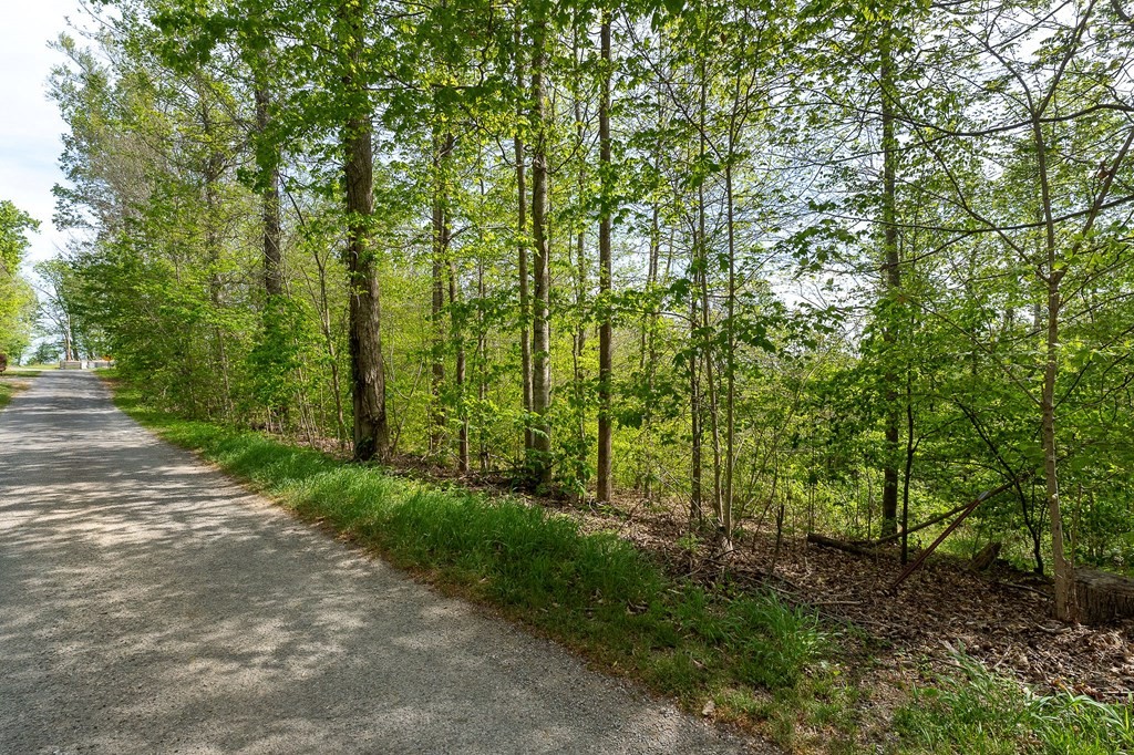 75 Backbone Rd Property Photo 14