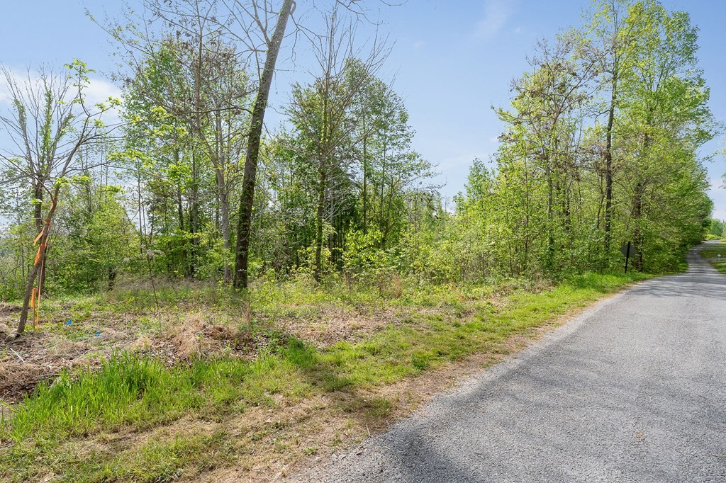 75 Backbone Rd Property Photo 15