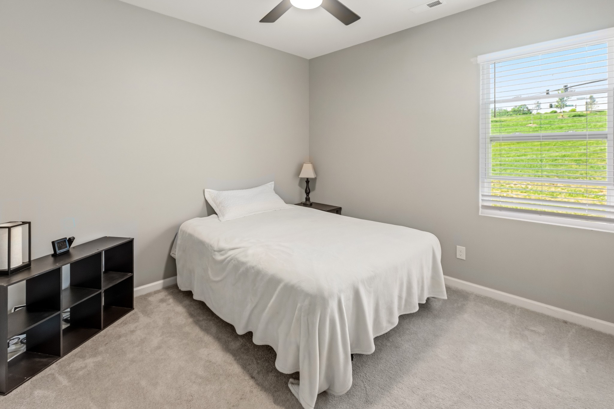3342 Steadman St Property Photo 15