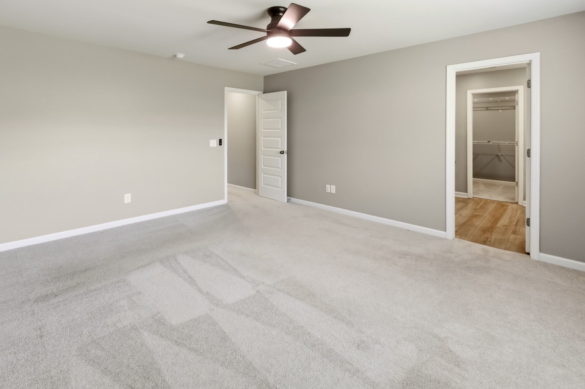 3342 Steadman St Property Photo 20