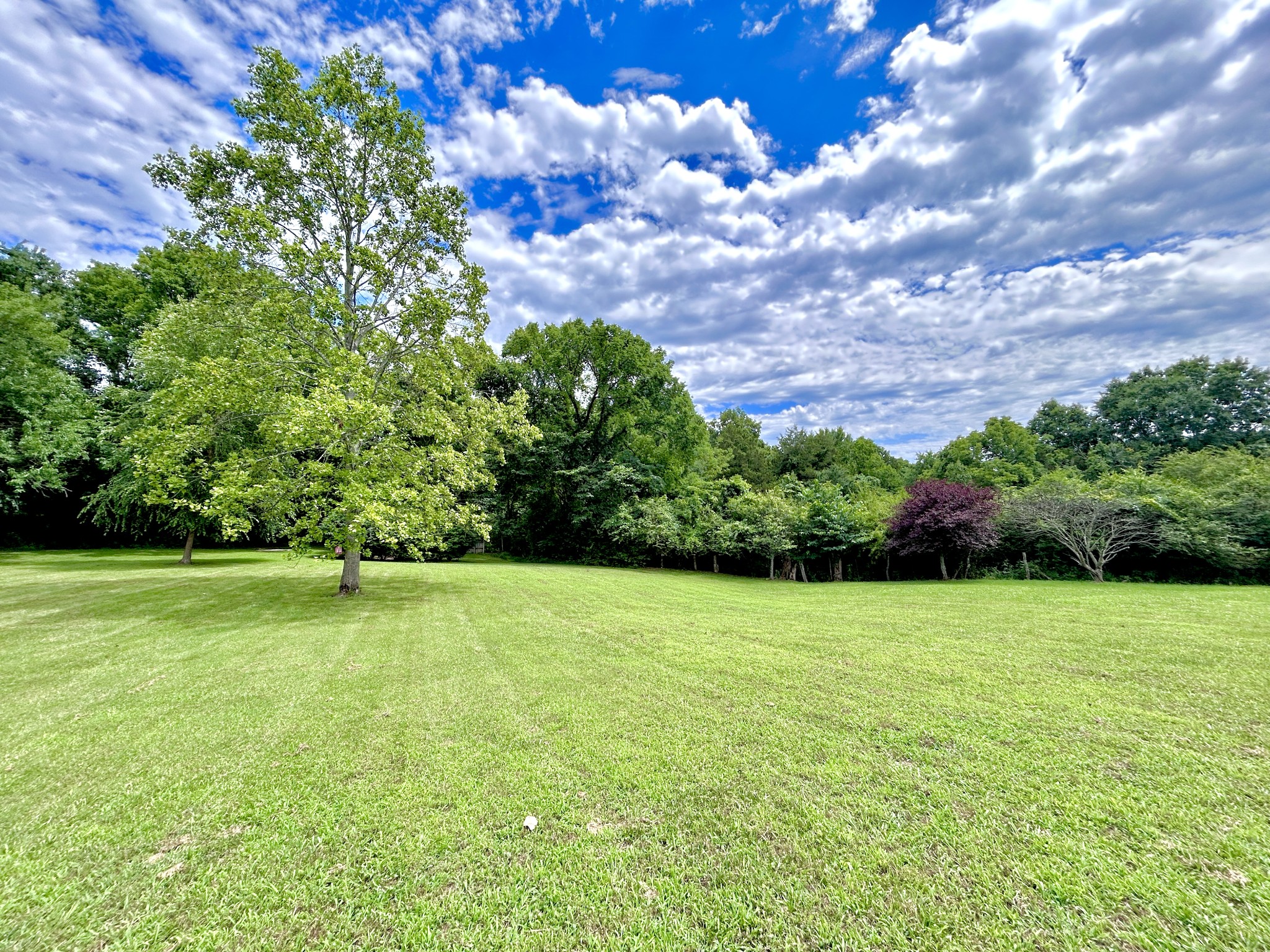 1109 Stonehenge Ct Property Photo 62