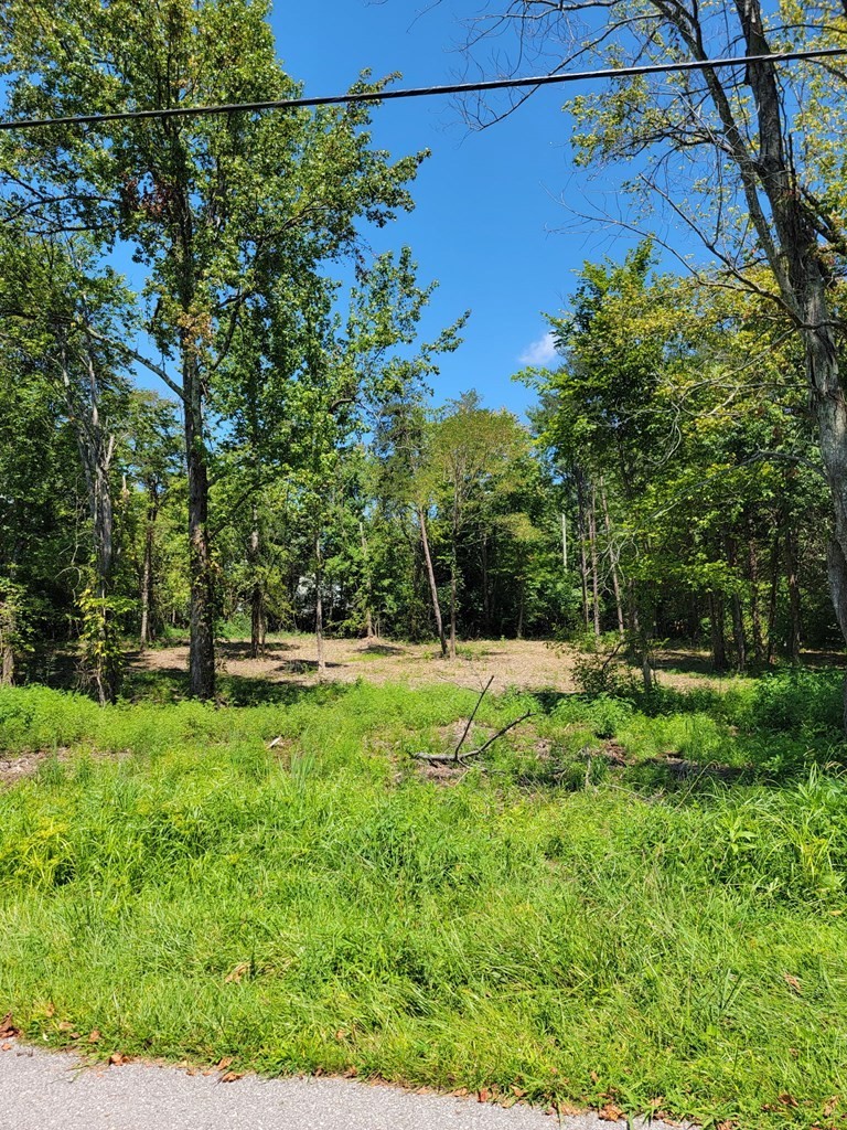 204 Vandy Cir Property Photo 6