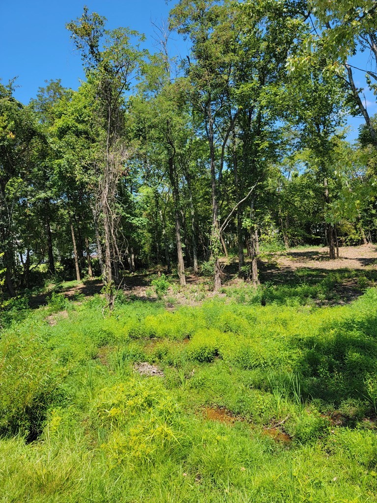 204 Vandy Cir Property Photo 9