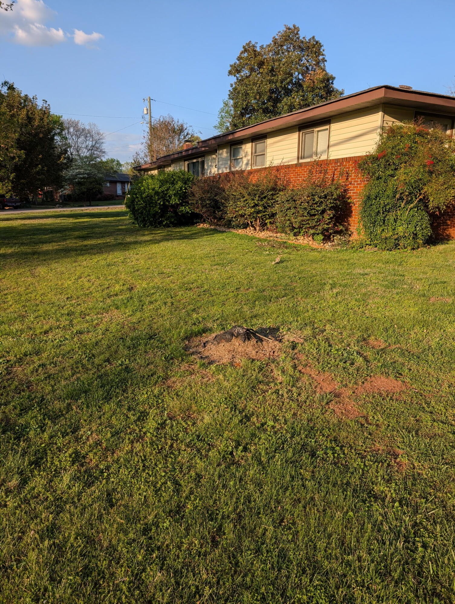 1239 Dossett Street Property Photo 2