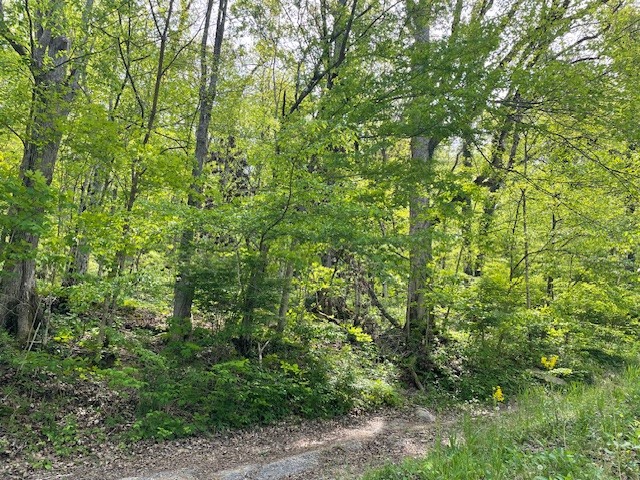 0 Bruer Dr Property Photo 1