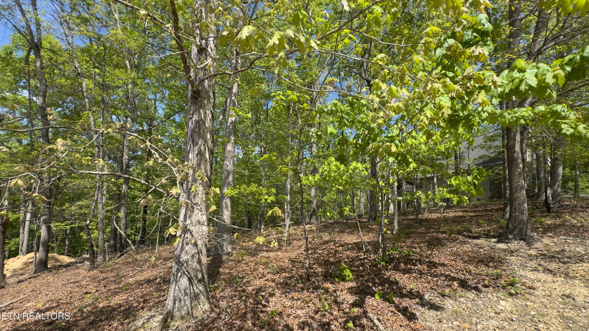 2085 Old Dogwood Tr Property Photo 1