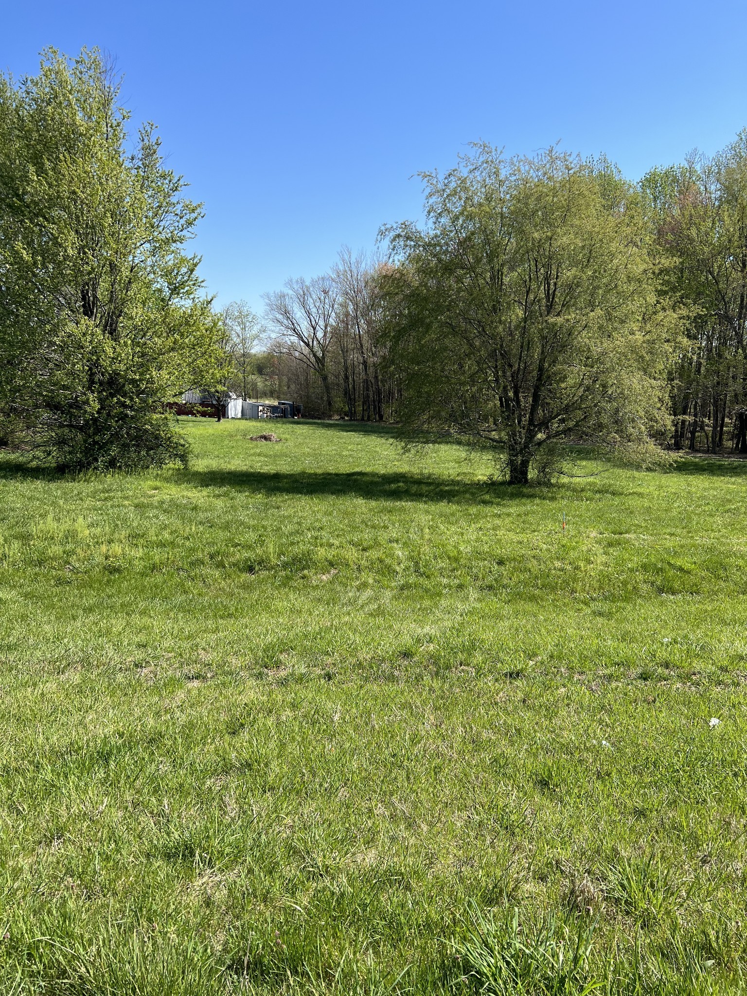 1 Highway 52e Property Photo 1