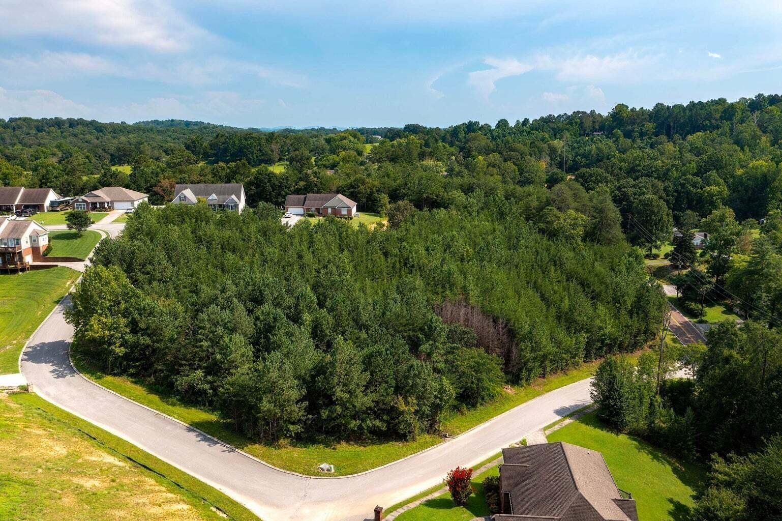 0 Nicole Drive Property Photo 2