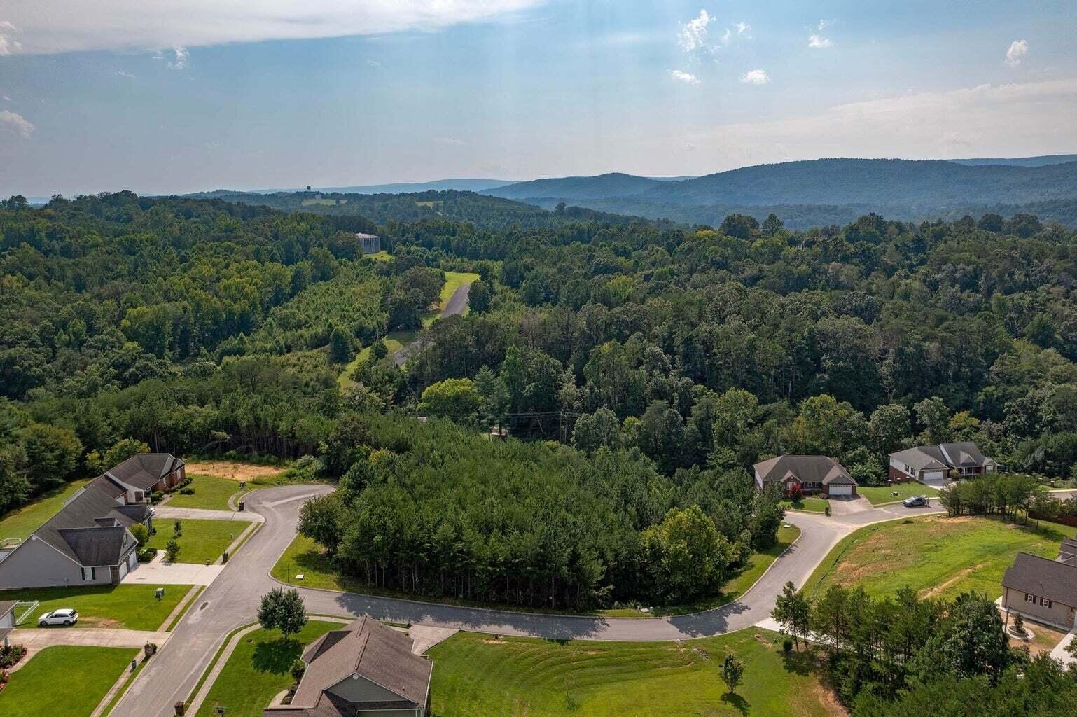0 Nicole Drive Property Photo 5