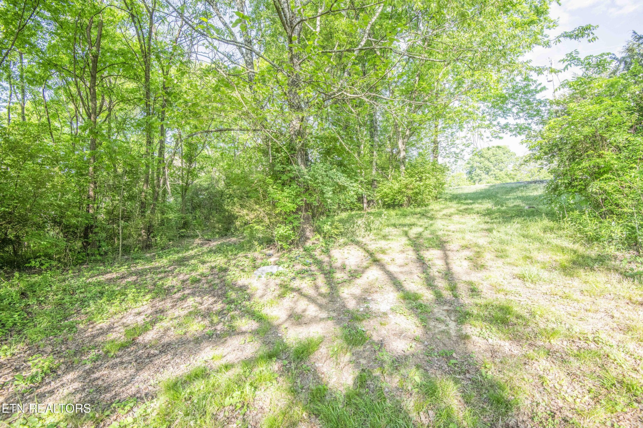 406 Mcconkey St Property Photo 40