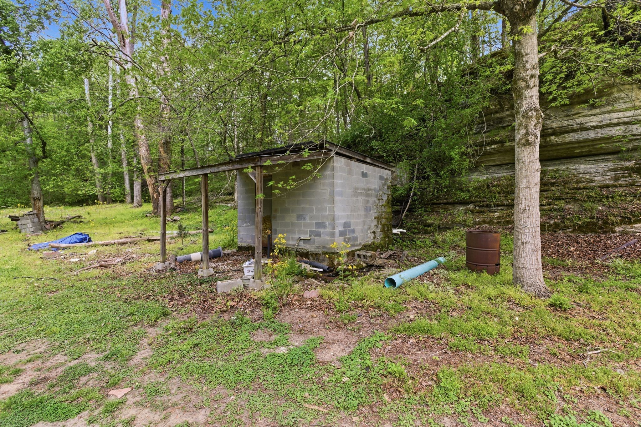 580 Defeated Creek Rd Property Photo 53