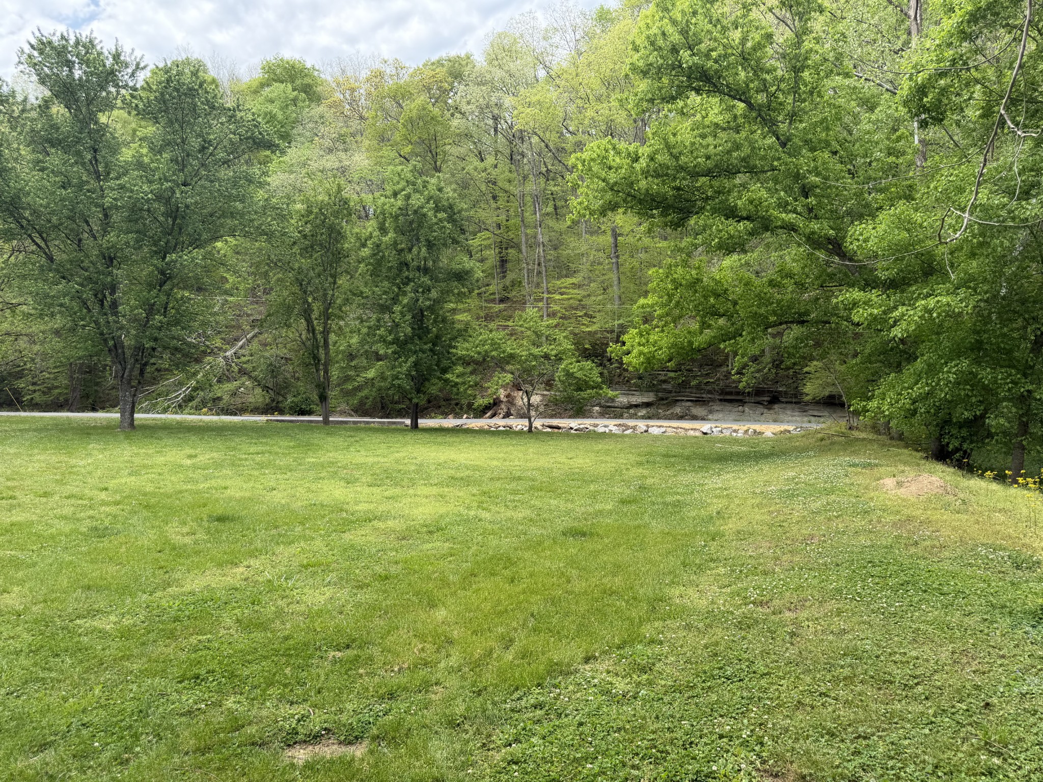 580 Defeated Creek Rd Property Photo 67