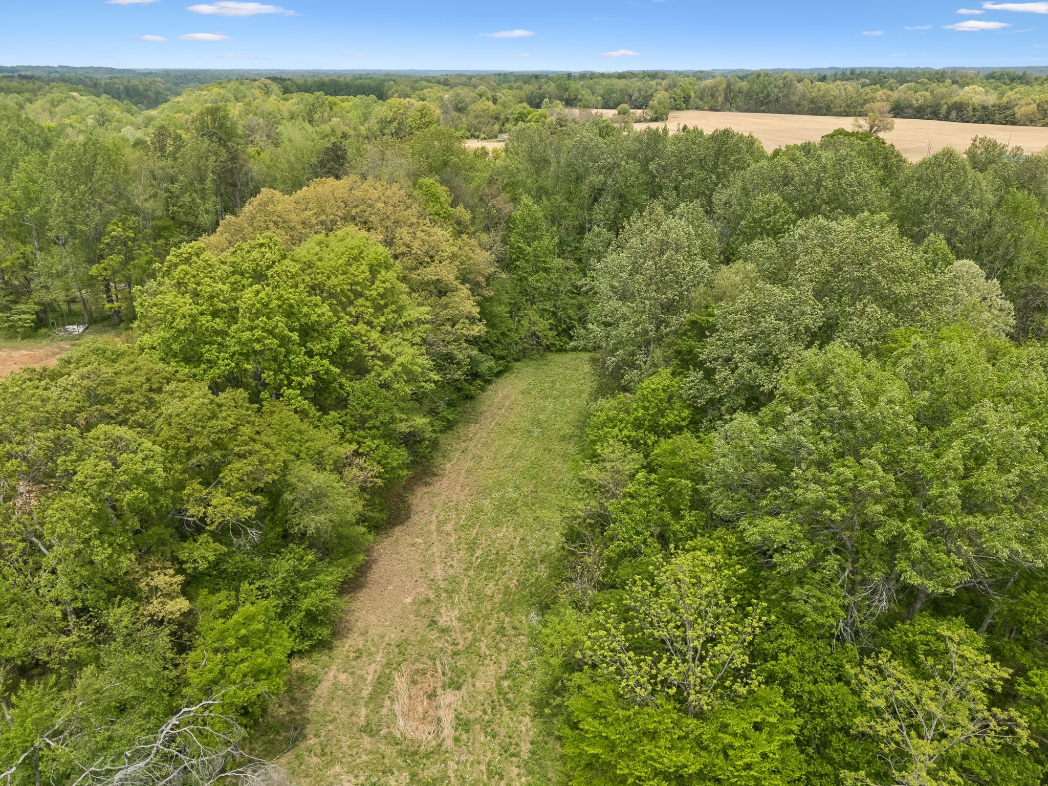 1059 Old Railroad Bed Rd Property Photo 12