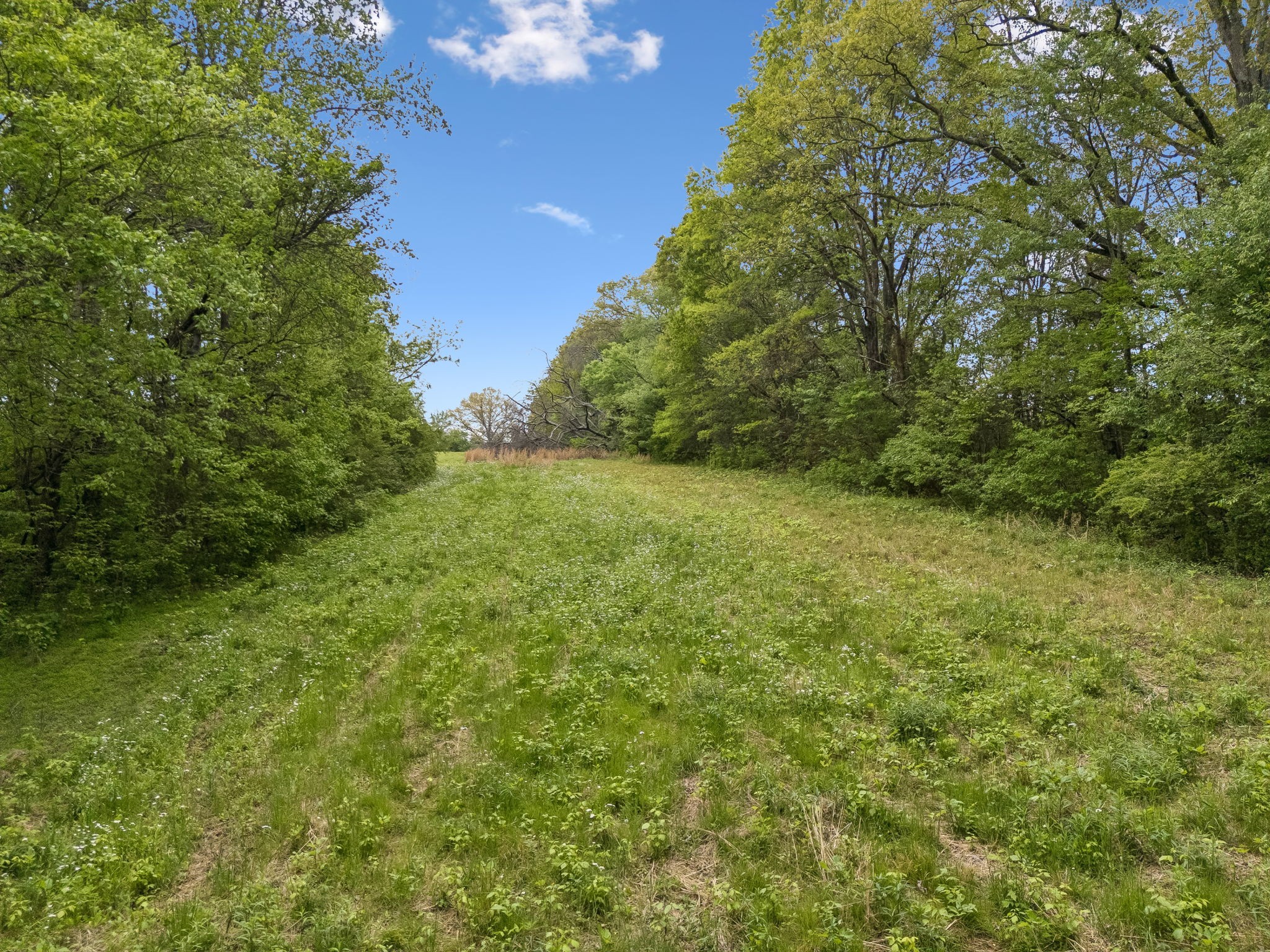 1059 Old Railroad Bed Rd Property Photo 21