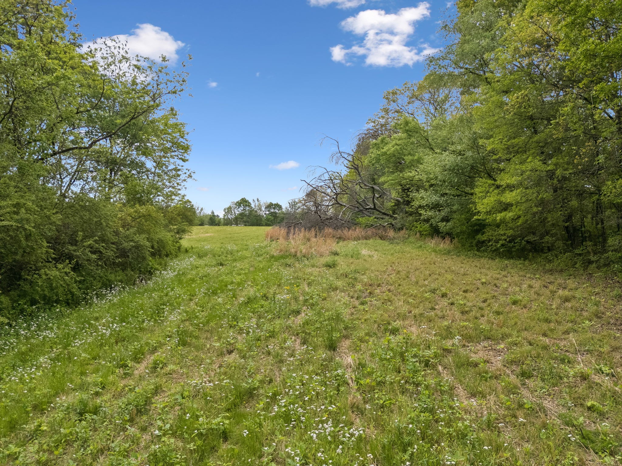 1059 Old Railroad Bed Rd Property Photo 22