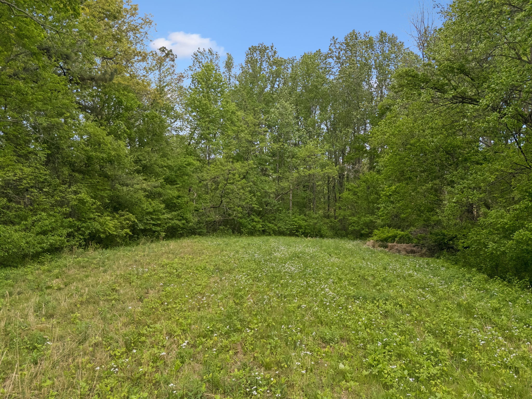 1059 Old Railroad Bed Rd Property Photo 23