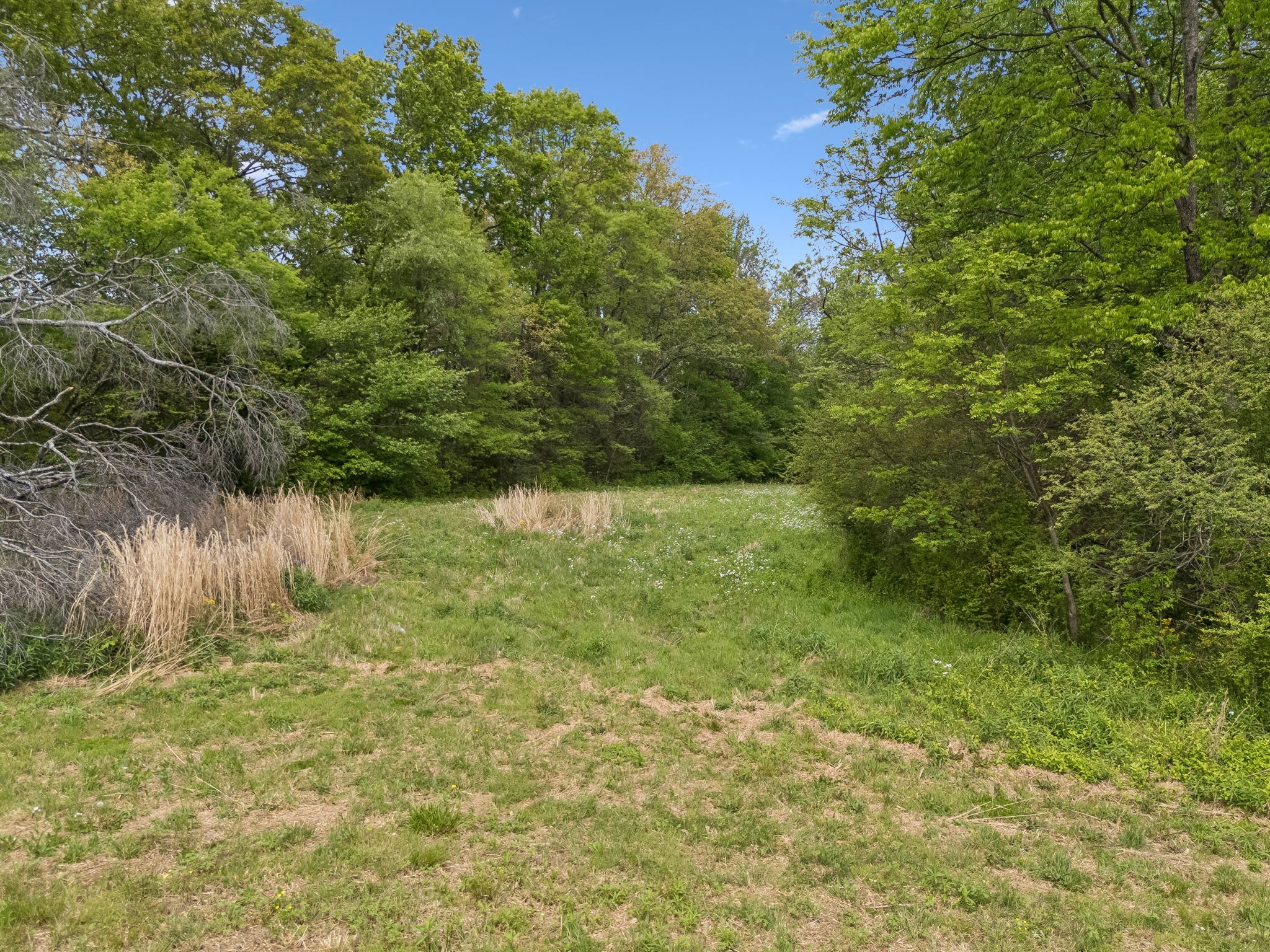 1059 Old Railroad Bed Rd Property Photo 25