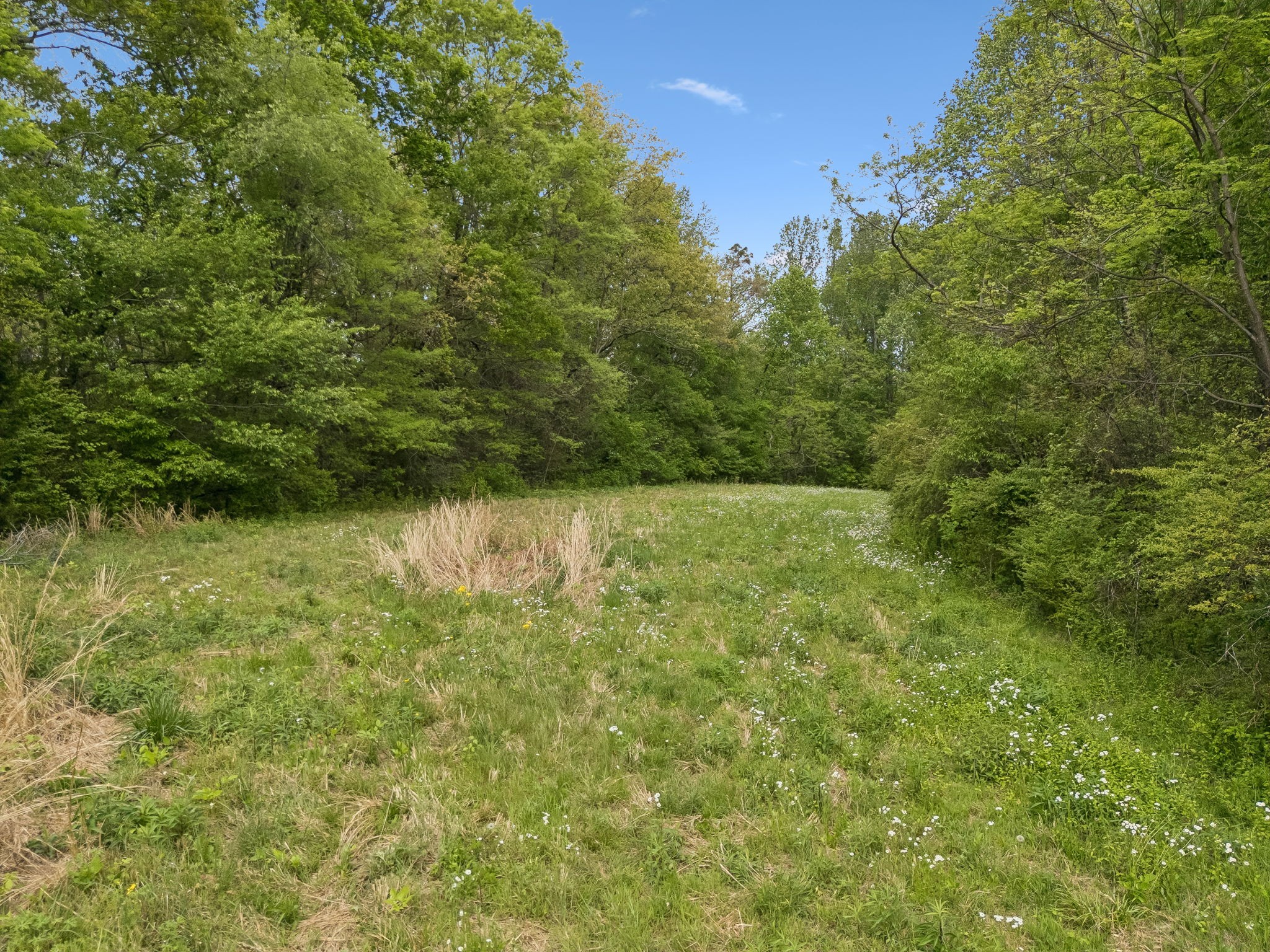 1059 Old Railroad Bed Rd Property Photo 26