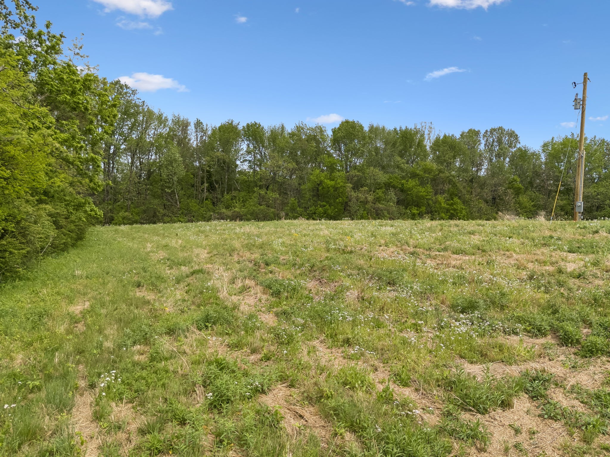 1059 Old Railroad Bed Rd Property Photo 27