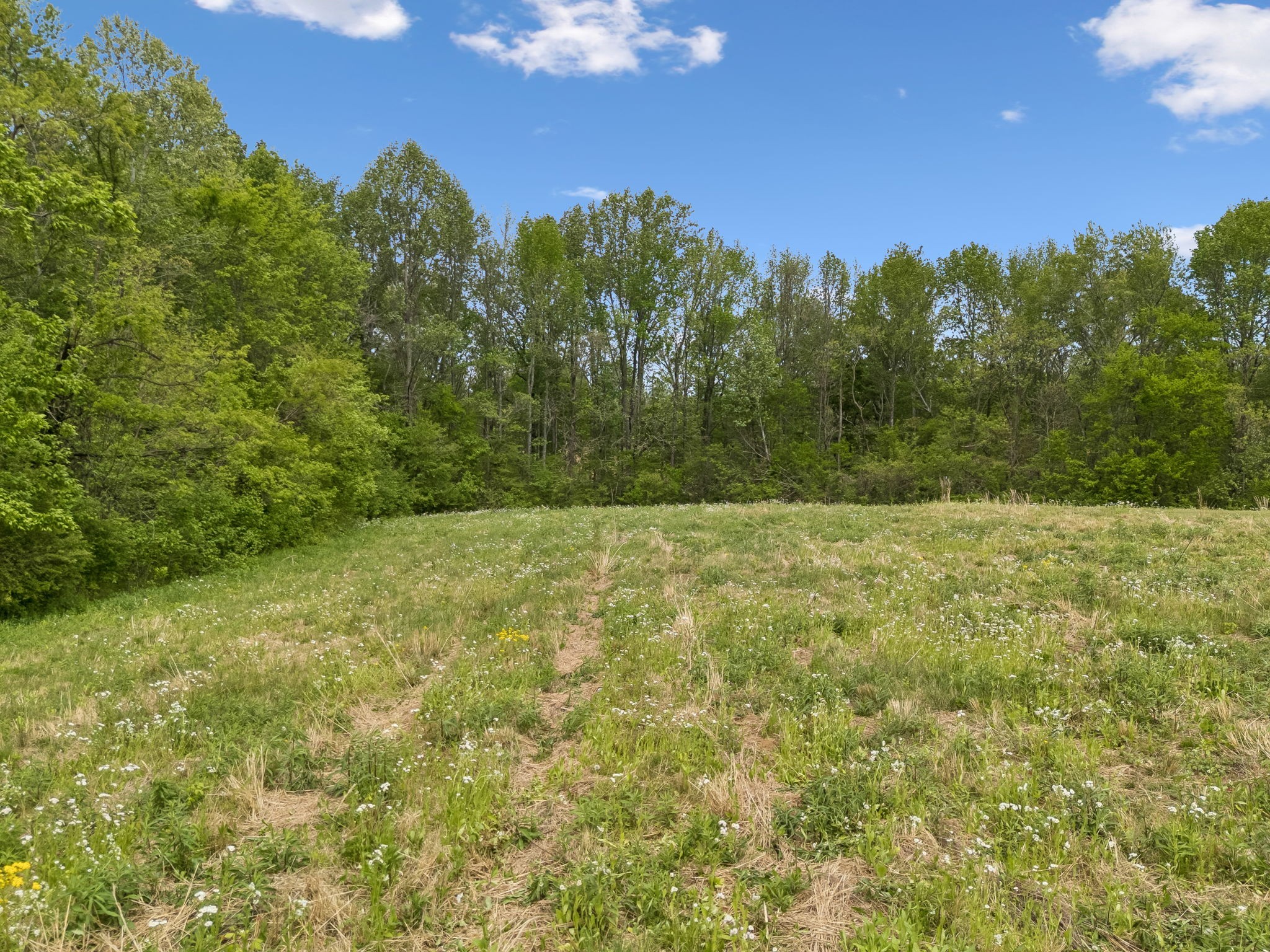 1059 Old Railroad Bed Rd Property Photo 28