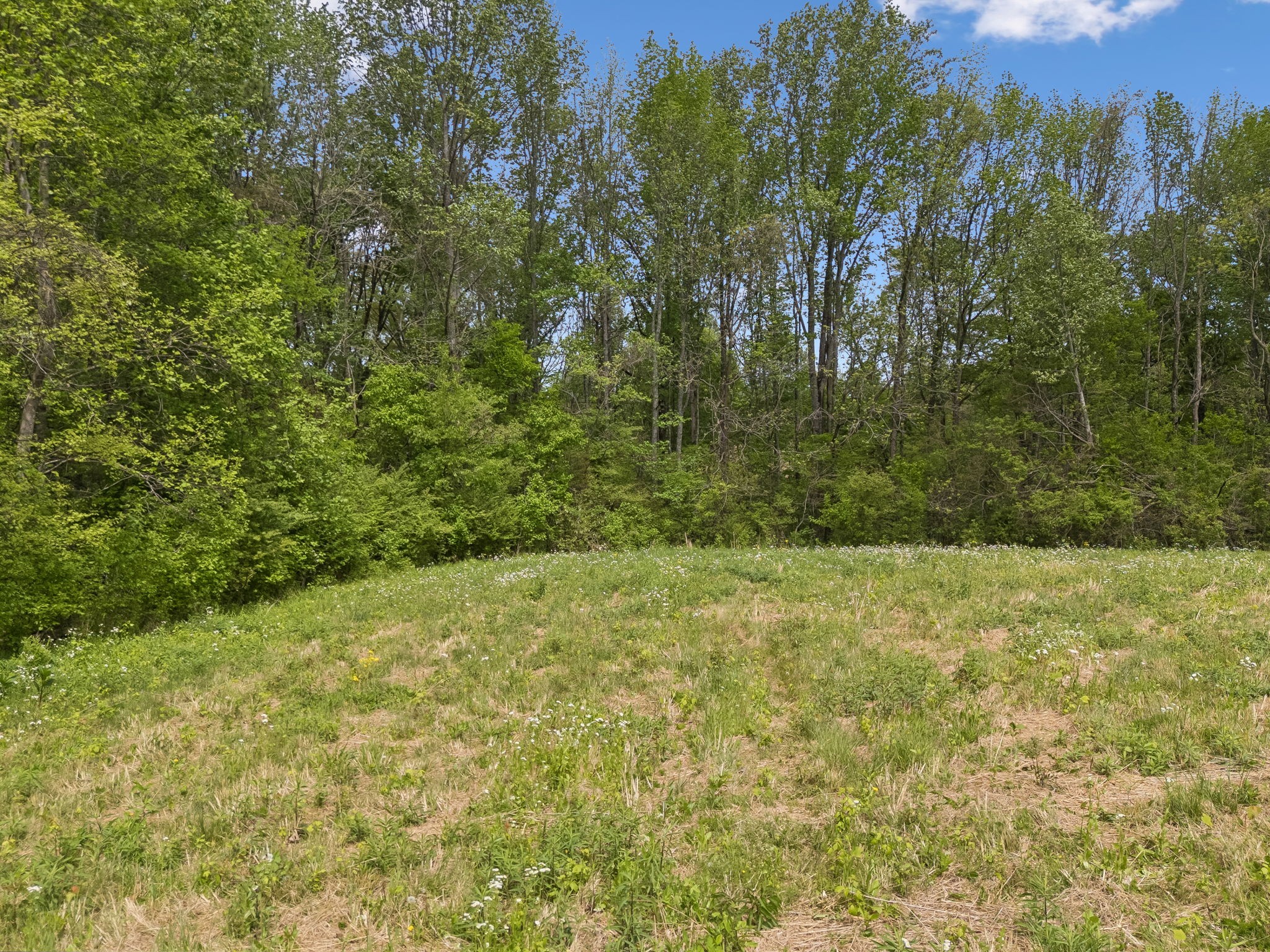 1059 Old Railroad Bed Rd Property Photo 29